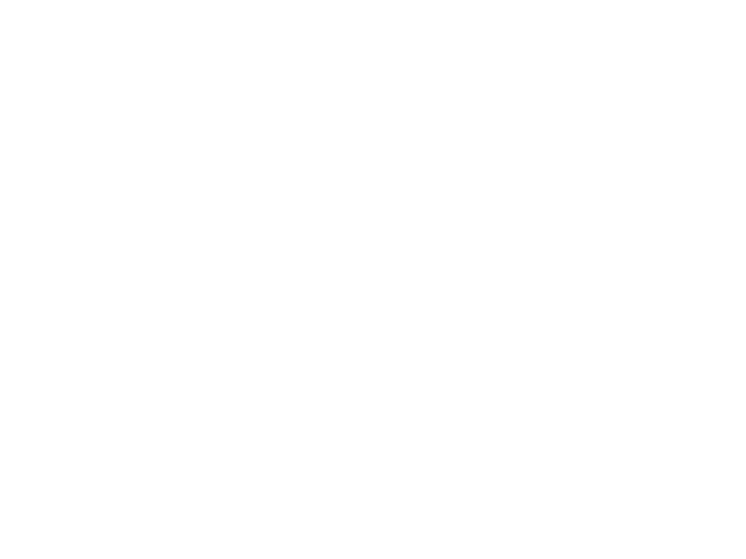 Baron B Logo
