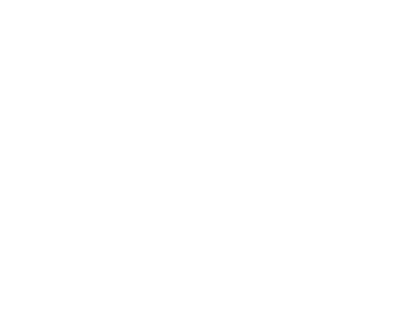 Triumph Logo
