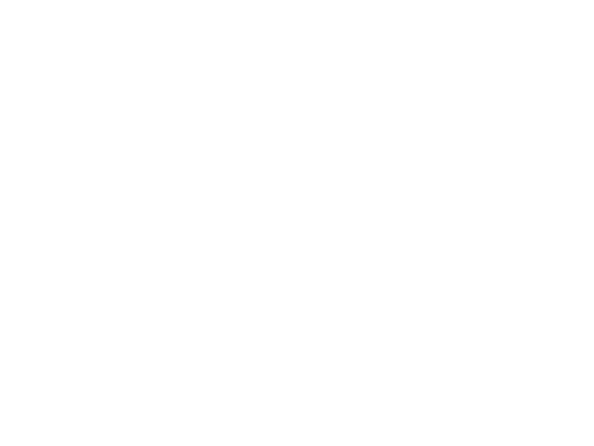 Vitamina Logo