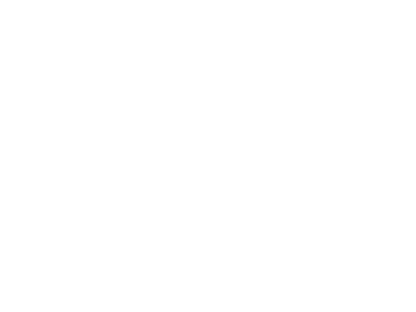 Wyndham Logo